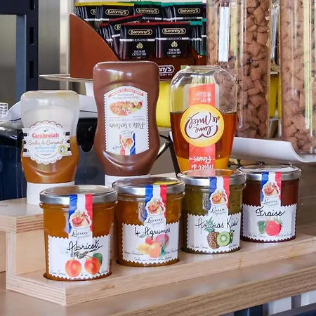 Aéroport Arenas Nizza